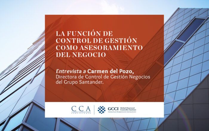 La función de control de gestión como asesoramiento del negocio