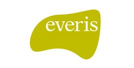 logo_everis